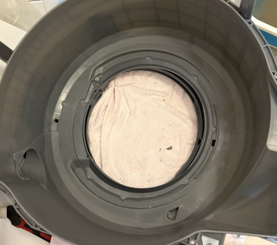 CDGY0780-e1773405206521