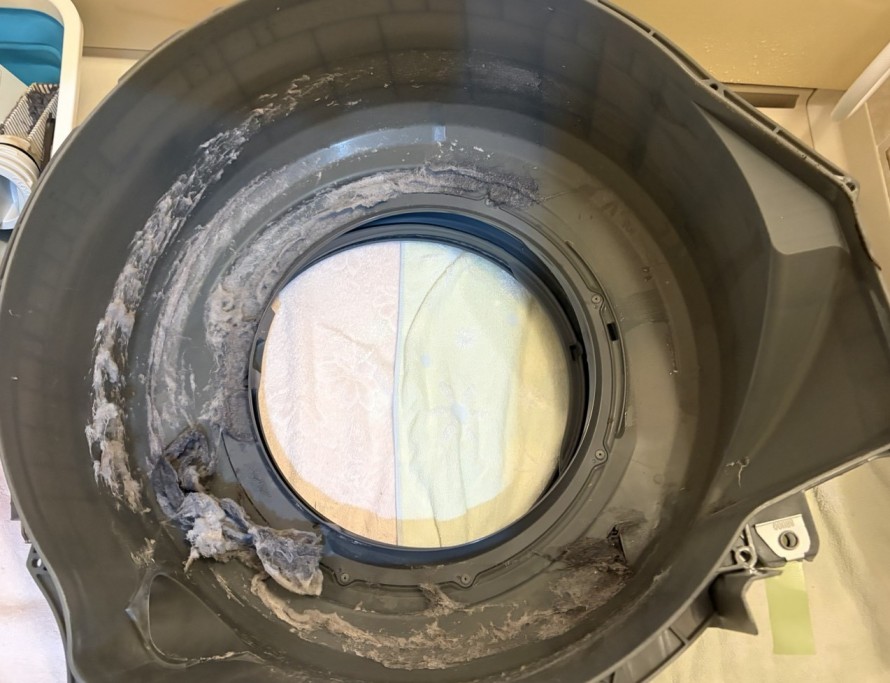 FCUJ9004-e1773405115372