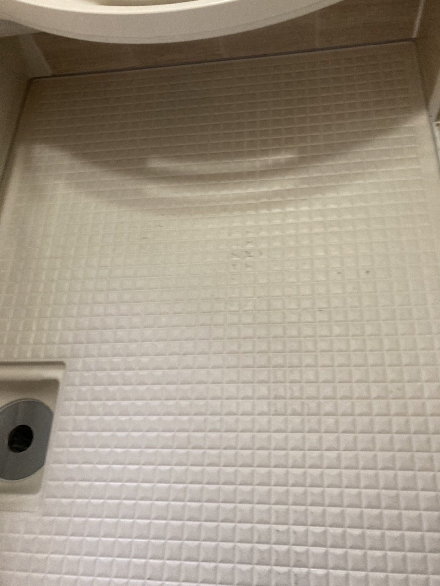 IMG_5244-e1763122423300