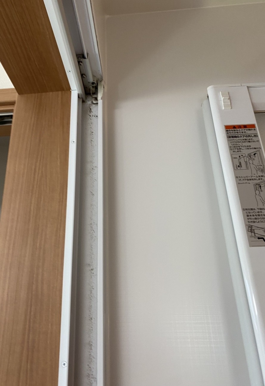 IMG_55721-e1771759570212