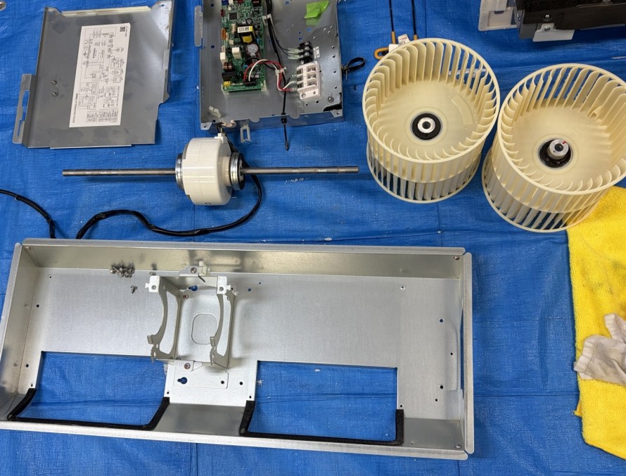 IMG_5779-e1775821976555