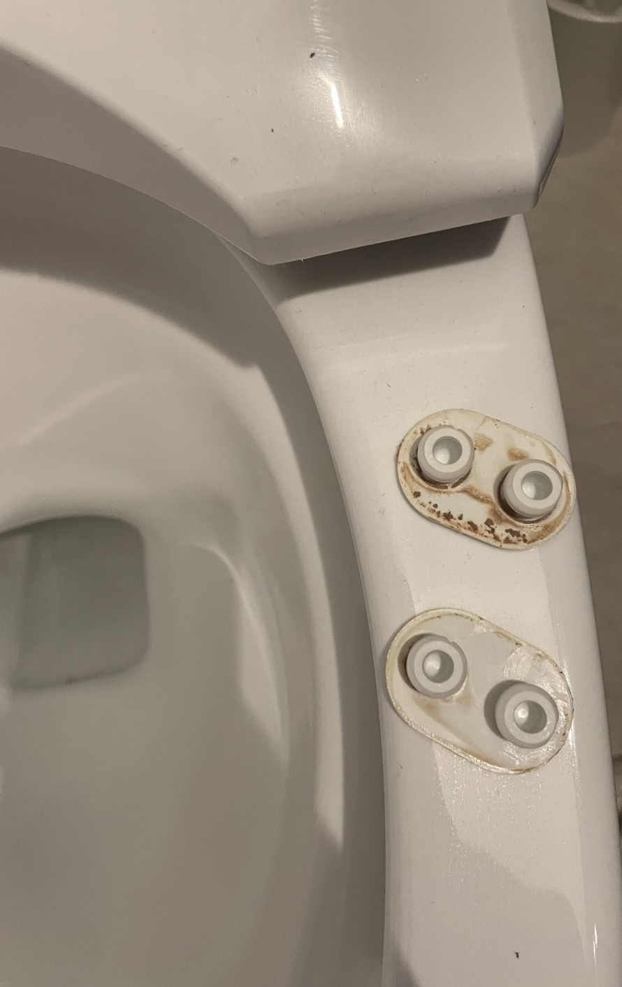 IMG_6836-e1771932741959