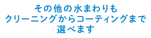 クリーニングからコーティングまで選べます クリーニングからコーティングまで選べます
